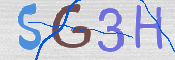 この文字を入力してください