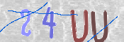 この文字を入力してください