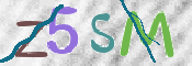 この文字を入力してください