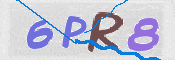 この文字を入力してください