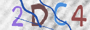 この文字を入力してください