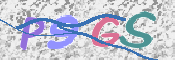この文字を入力してください