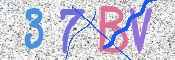 この文字を入力してください