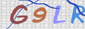 この文字を入力してください