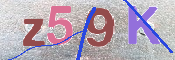 この文字を入力してください