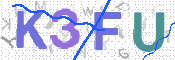 この文字を入力してください