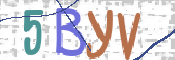 この文字を入力してください