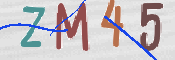 この文字を入力してください