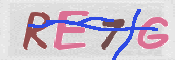 この文字を入力してください