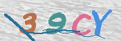 この文字を入力してください
