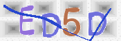 この文字を入力してください