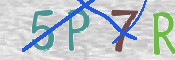 この文字を入力してください