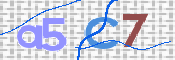 この文字を入力してください