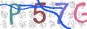 この文字を入力してください