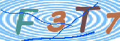 この文字を入力してください
