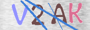 この文字を入力してください