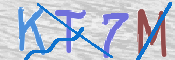 この文字を入力してください