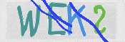 この文字を入力してください