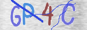 この文字を入力してください