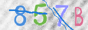 この文字を入力してください