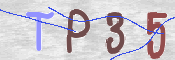 この文字を入力してください