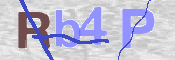 この文字を入力してください