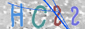 この文字を入力してください