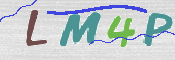この文字を入力してください