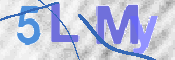 この文字を入力してください