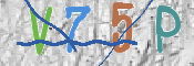 この文字を入力してください