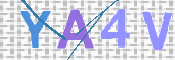 この文字を入力してください