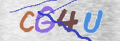 この文字を入力してください