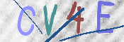 この文字を入力してください