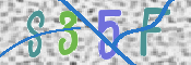 この文字を入力してください