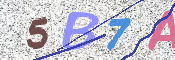 この文字を入力してください