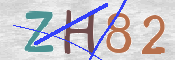 この文字を入力してください