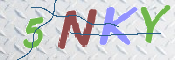 この文字を入力してください