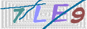 この文字を入力してください