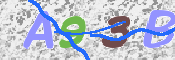 この文字を入力してください