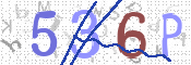この文字を入力してください