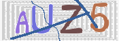 この文字を入力してください