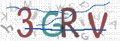 この文字を入力してください