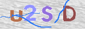 この文字を入力してください