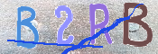 この文字を入力してください