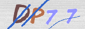この文字を入力してください