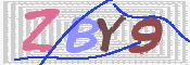 この文字を入力してください