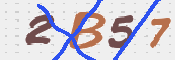この文字を入力してください