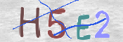 この文字を入力してください