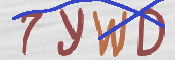 この文字を入力してください