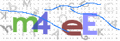 この文字を入力してください